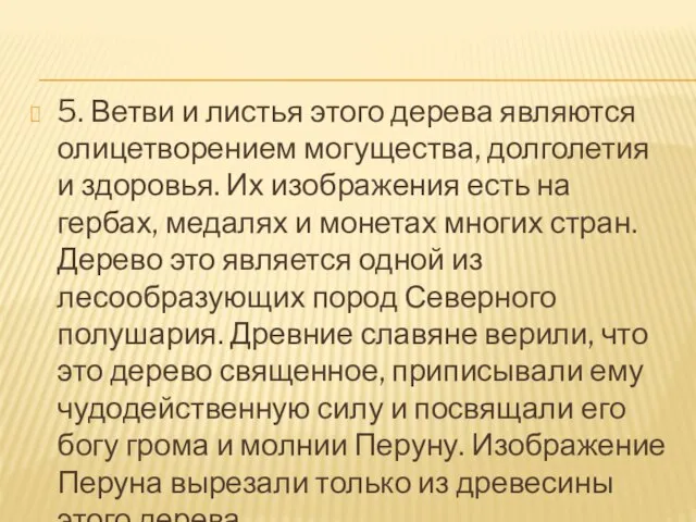 5. Ветви и листья этого дерева являются олицетворением могущества, долголетия и здоровья.