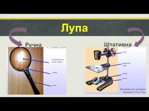 Лупа Ручная Штативная