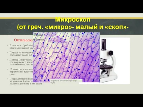 Микроскоп (от греч. «микро»- малый и «скоп»- смотрю). Оптические микроскопы В основе