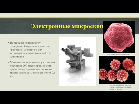 Электронные микроскопы Построены по принципу электронной пушки и в качестве "рабочего" элемента