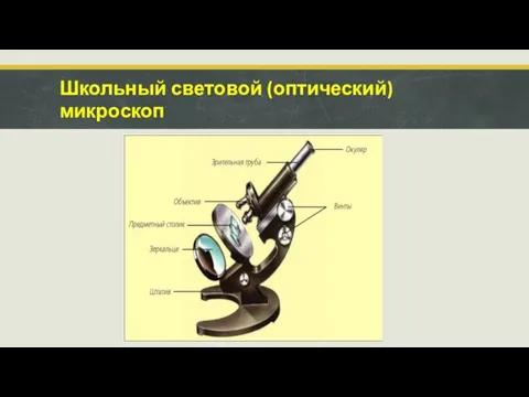 Школьный световой (оптический) микроскоп