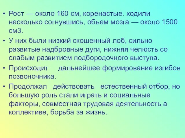 Рост — около 160 см, коренастые. ходили несколько согнувшись, объем мозга —