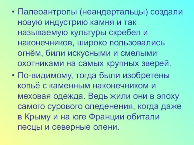 Палеоантропы (неандертальцы) создали новую индустрию камня и так называемую культуры скребел и