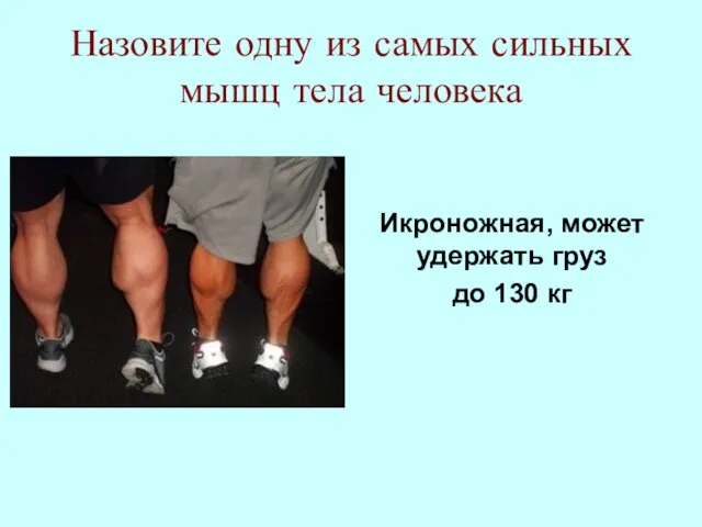 Назовите одну из самых сильных мышц тела человека Икроножная, может удержать груз до 130 кг