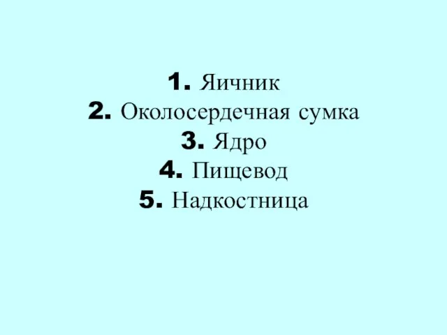 1. Яичник 2. Околосердечная сумка 3. Ядро 4. Пищевод 5. Надкостница