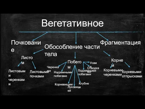 Вегетативное Обособление части тела Листом Побегом Корнем Листовыми черенками Листовыми почками Надземными