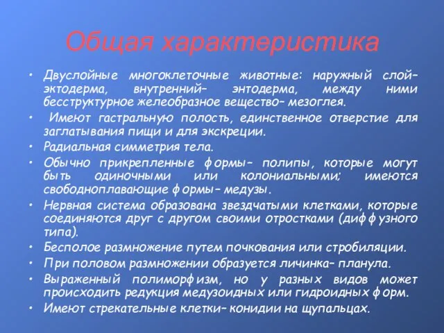 Общая характеристика Двуслойные многоклеточные животные: наружный слой– эктодерма, внутренний– энтодерма, между ними