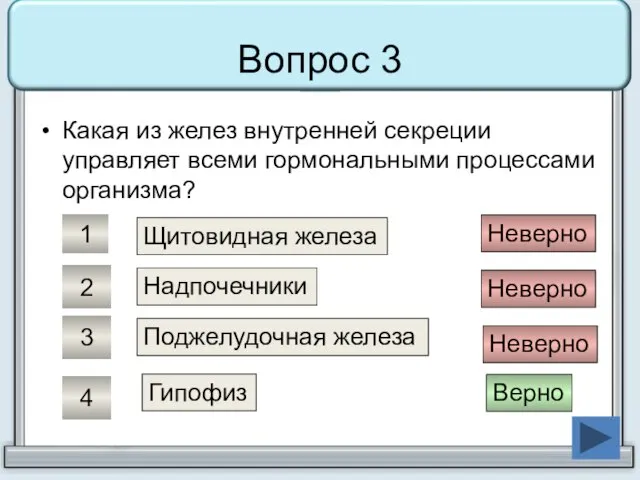 Вопрос 3 Какая из желез внутренней секреции управляет всеми гормональными процессами организма?