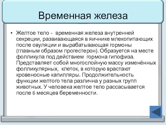 Временная железа Желтое тело - временная железа внутренней секреции, развивающаяся в яичнике