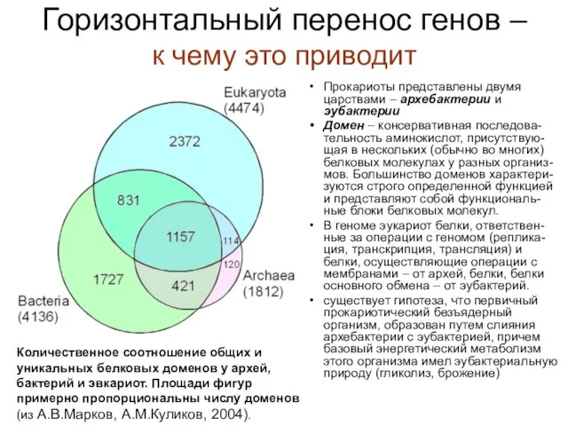 Горизонтальный перенос генов – к чему это приводит Прокариоты представлены двумя царствами