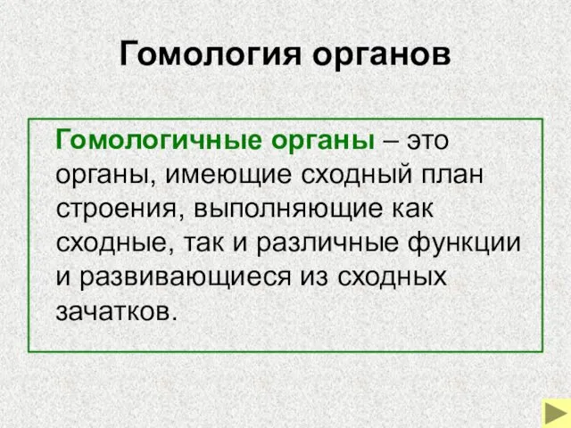 Гомология органов Гомологичные органы – это органы, имеющие сходный план строения, выполняющие