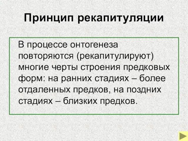 Принцип рекапитуляции В процессе онтогенеза повторяются (рекапитулируют) многие черты строения предковых форм: