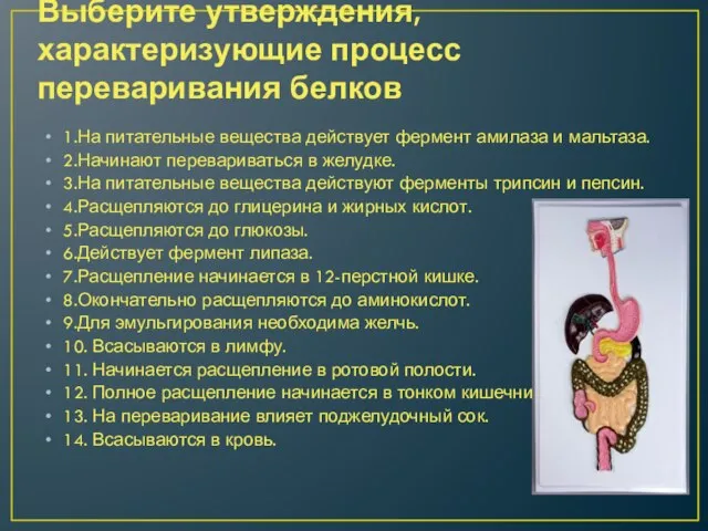 Выберите утверждения, характеризующие процесс переваривания белков 1.На питательные вещества действует фермент амилаза