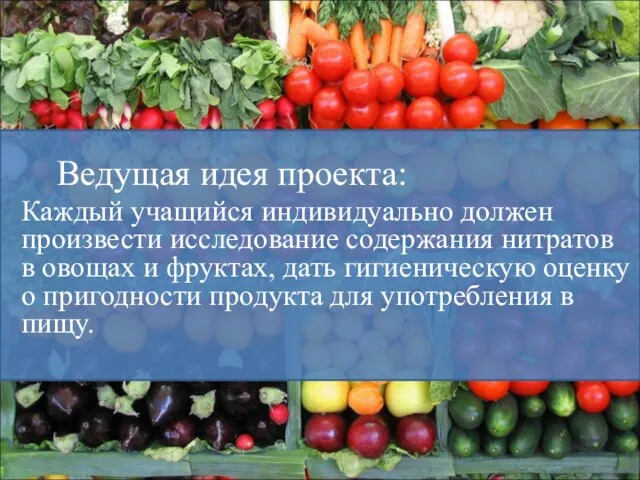 Ведущая идея проекта: Каждый учащийся индивидуально должен произвести исследование содержания нитратов в