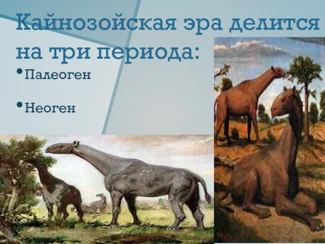 Кайнозойская эра делится на три периода: Палеоген Неоген Антропоген