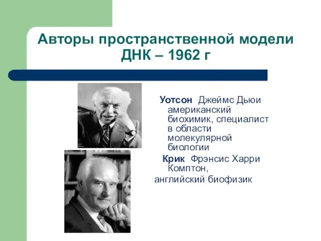 Авторы пространственной модели ДНК – 1962 г Уотсон Джеймс Дьюи американский биохимик,