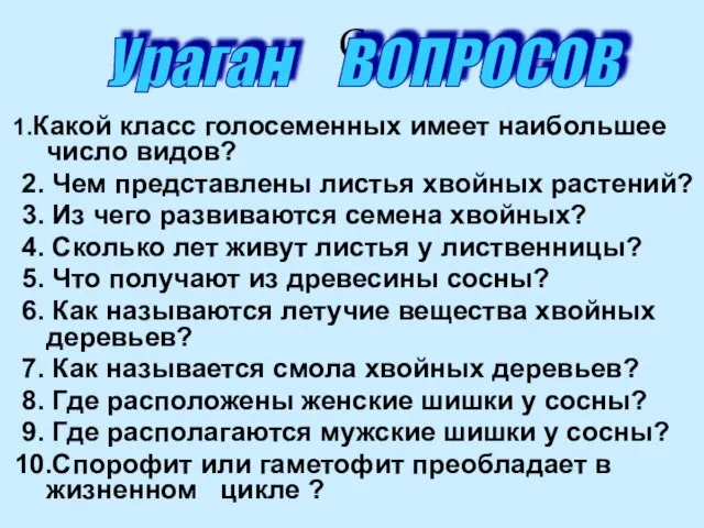 С 1.Какой класс голосеменных имеет наибольшее число видов? 2. Чем представлены листья