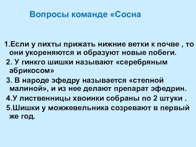 Вопросы команде «Сосна 1.Если у пихты прижать нижние ветки к почве ,