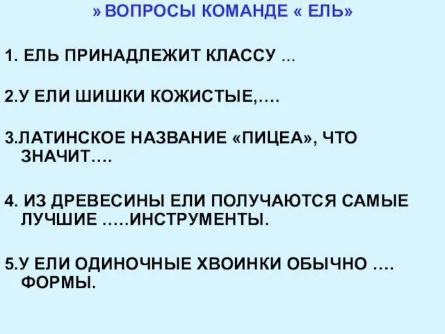 ВОПРОСЫ КОМАНДЕ « ЕЛЬ» 1. ЕЛЬ ПРИНАДЛЕЖИТ КЛАССУ … 2.У ЕЛИ ШИШКИ