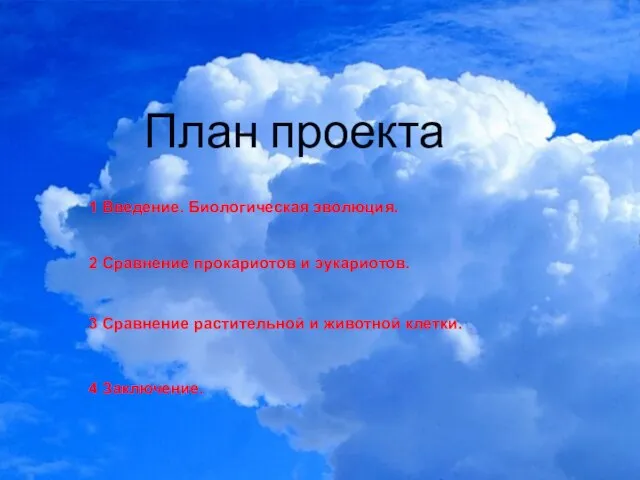 4 Заключение. План проекта 1 Введение. Биологическая эволюция. 2 Сравнение прокариотов и