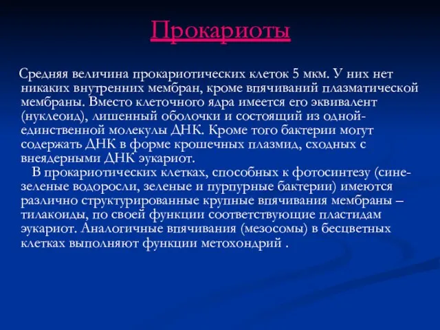 Прокариоты Средняя величина прокариотических клеток 5 мкм. У них нет никаких внутренних