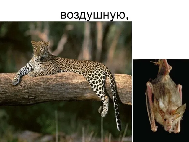 воздушную,