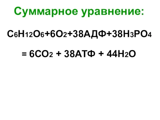 Суммарное уравнение: С6Н12О6+6О2+38АДФ+38Н3РО4 = 6СО2 + 38АТФ + 44Н2О