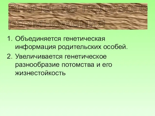 Значение полового размножения Объединяется генетическая информация родительских особей. Увеличивается генетическое разнообразие потомства и его жизнестойкость