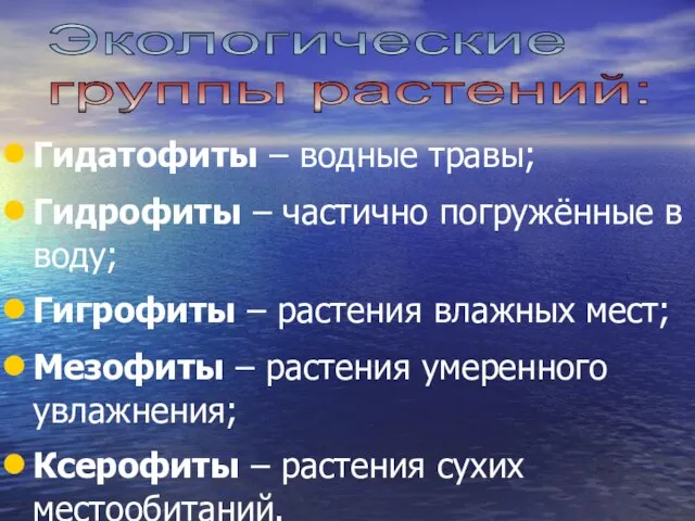 Экологические группы растений: Гидатофиты – водные травы; Гидрофиты – частично погружённые в