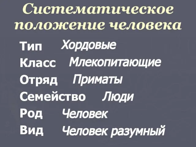 Систематическое положение человека Тип Класс Отряд Семейство Род Вид Хордовые Млекопитающие Приматы Люди Человек Человек разумный