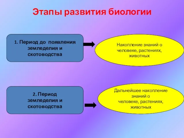 Этапы развития биологии 1. Период до появления земледелия и скотоводства Накопление знаний