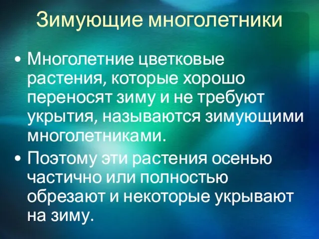 Зимующие многолетники Многолетние цветковые растения, которые хорошо переносят зиму и не требуют