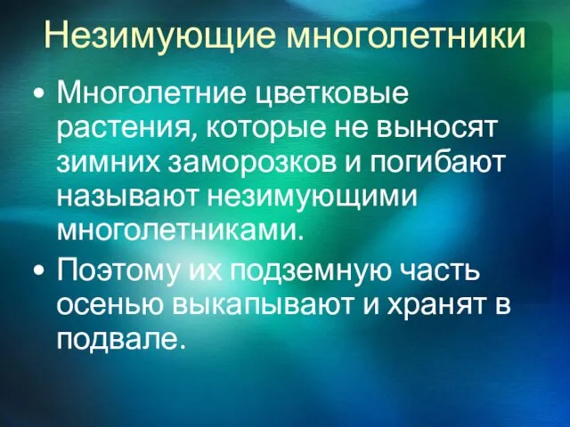 Незимующие многолетники Многолетние цветковые растения, которые не выносят зимних заморозков и погибают