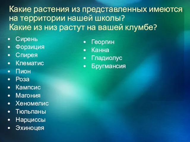 Какие растения из представленных имеются на территории нашей школы? Какие из низ