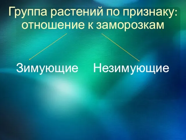 Группа растений по признаку: отношение к заморозкам Зимующие Незимующие