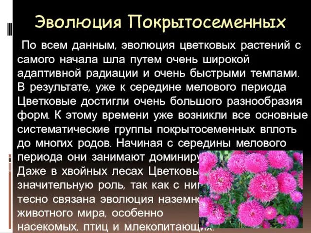 Эволюция Покрытосеменных По всем данным, эволюция цветковых растений с самого начала шла