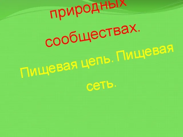 Группы живых организмов в природных сообществах. Пищевая цепь. Пищевая сеть.