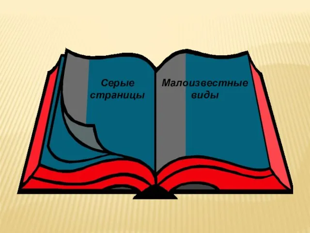 Серые страницы Малоизвестные виды