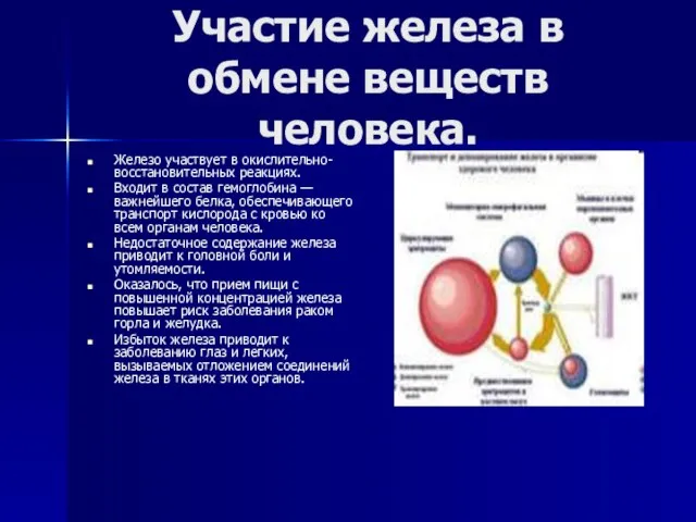 Участие железа в обмене веществ человека. Железо участвует в окислительно-восстановительных реакциях. Входит