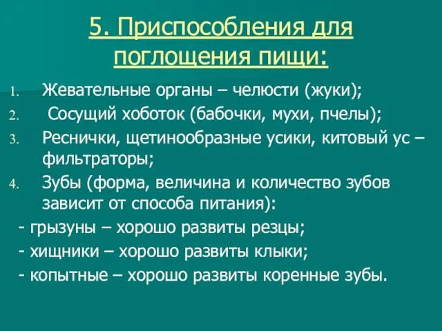 5. Приспособления для поглощения пищи: Жевательные органы – челюсти (жуки); Сосущий хоботок