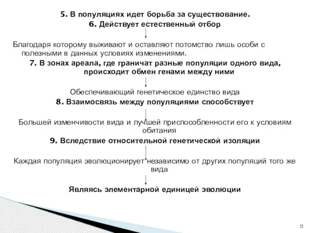 5. В популяциях идет борьба за существование. 6. Действует естественный отбор Благодаря