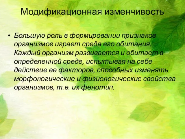 Модификационная изменчивость Большую роль в формировании признаков организмов играет среда его обитания.