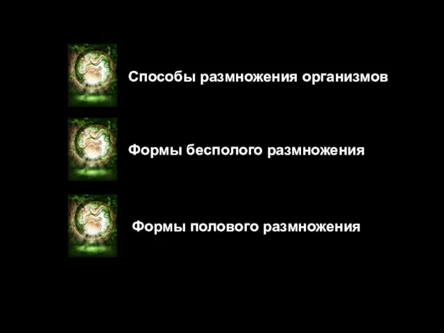 Способы размножения организмов Формы бесполого размножения Формы полового размножения