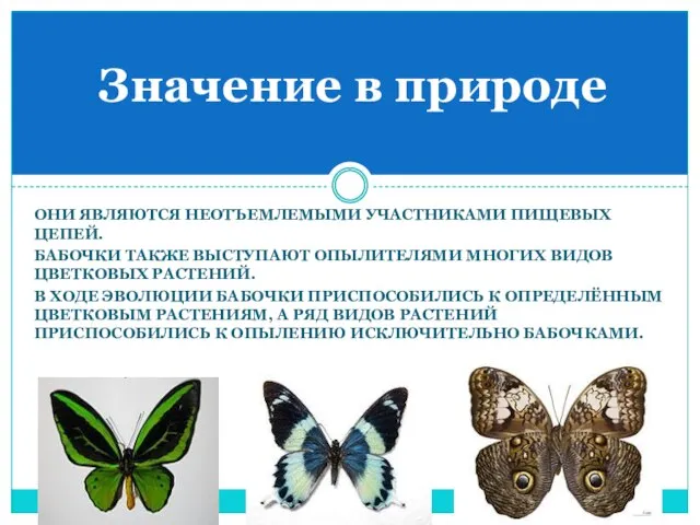 они являются неотъемлемыми участниками пищевых цепей. Бабочки также выступают опылителями многих видов