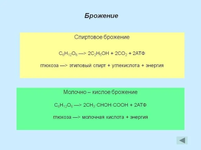 ПВК молочная кислота этиловый спирт Брожение