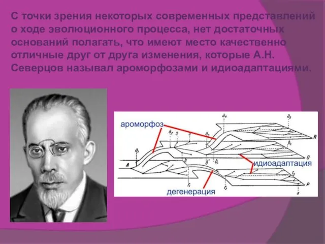 С точки зрения некоторых современных представлений о ходе эволюционного процесса, нет достаточных