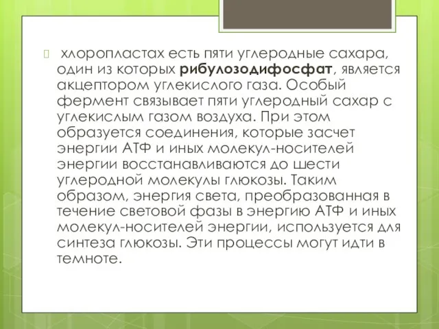 хлоропластах есть пяти углеродные сахара, один из которых рибулозодифосфат, является акцептором углекислого