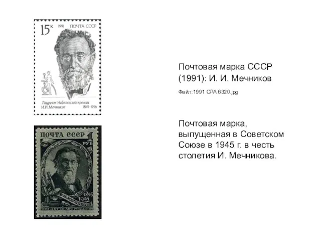 Почтовая марка СССР (1991): И. И. Мечников Файл:1991 CPA 6320.jpg Почтовая марка,