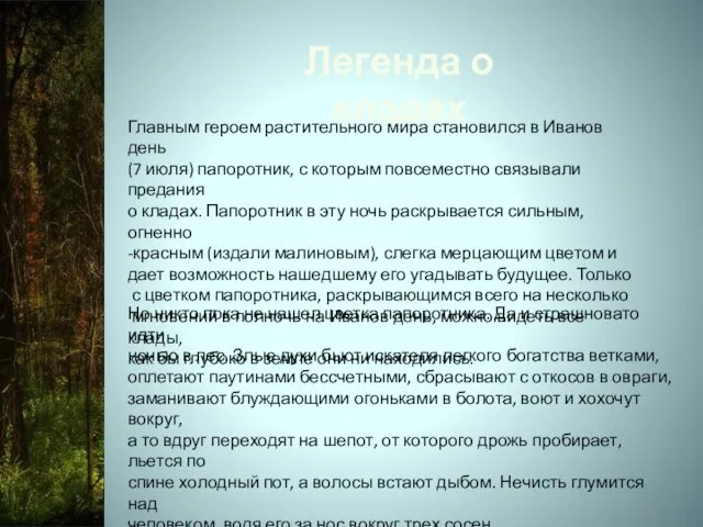 Легенда о кладах Главным героем растительного мира становился в Иванов день (7