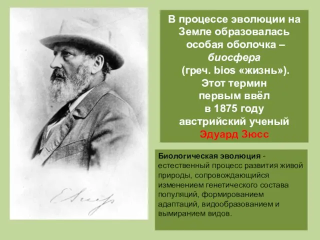 В процессе эволюции на Земле образовалась особая оболочка – биосфера (греч. bios